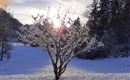 Winterzauber 1