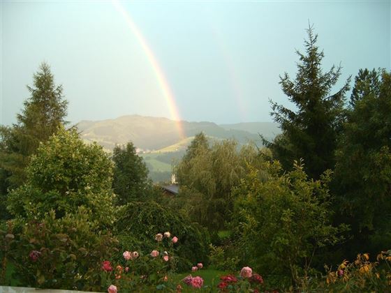Traumhafte Aussicht