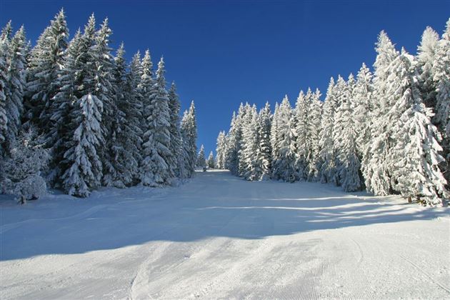 Traumhafte Pisten