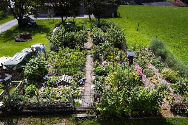 Überblick Garten
