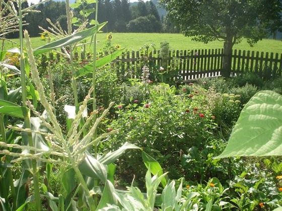 Unser Bauerngarten