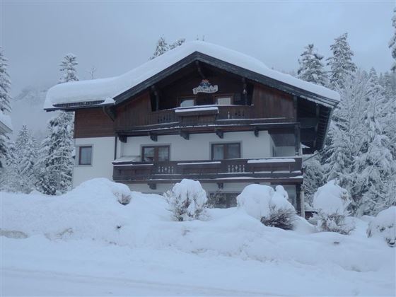 A cozy house in the snow, surrounded by wintry trees. The entire area is decorated with a snow-covered landscape.