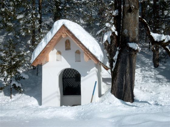 A small white house with a snow-covered roof stands in a snowy landscape. Surrounded by tall trees, the scene feels calm and idyllic.