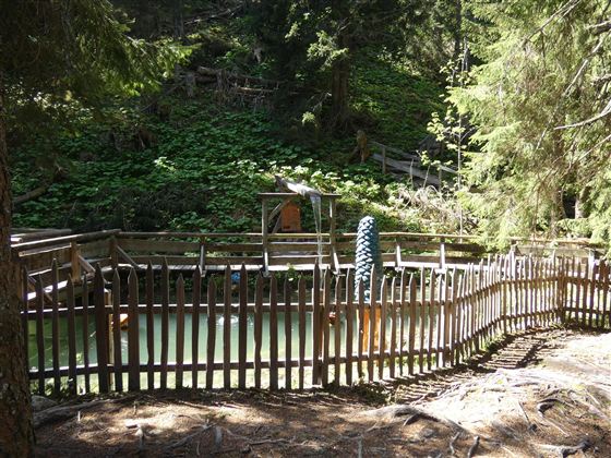 Ein kleiner Teich, umgeben von einem Holzzaun und Bäumen. Im Hintergrund sind grüne Pflanzen zu sehen.