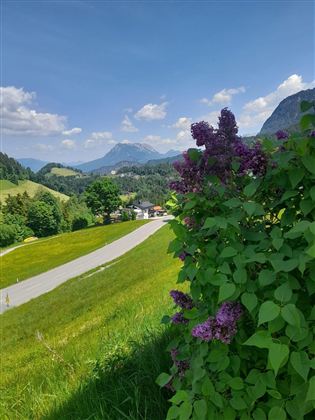 Aussicht Villa Werlberger - Hinterthiersee / Kufsteinerland