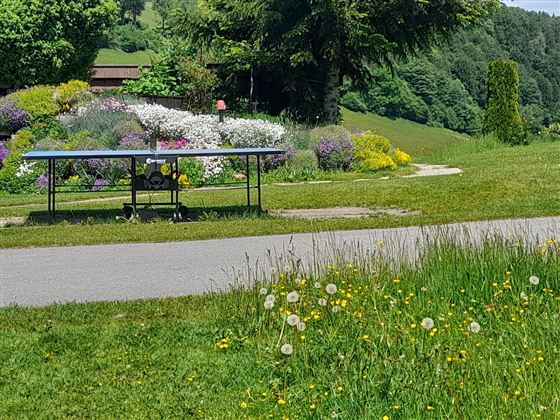 Garten - Tichtennistisch Villa Werlberger in Hinterthiersee / Kufsteinerland