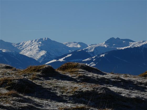 Schneebedeckte Berge unter klarem blauen Himmel. Sanfte Hügel im Vordergrund ergänzen die alpine Landschaft.
