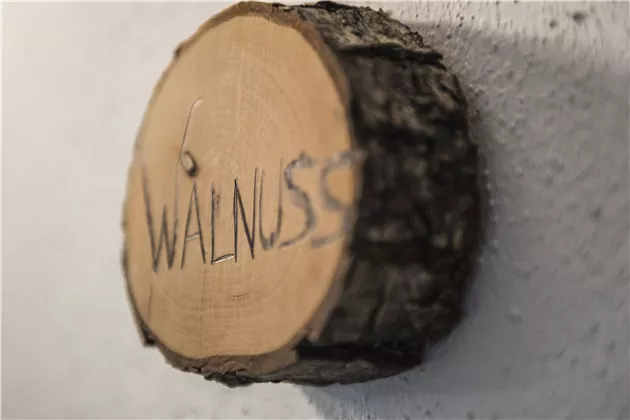 walnuss