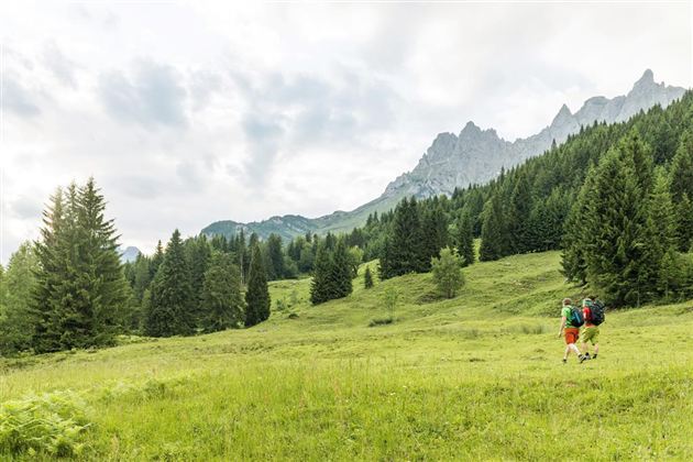 Two hikers are walking through a green meadow, surrounded by mountains and dense forests. The sky is overcast, creating a calm atmosphere.