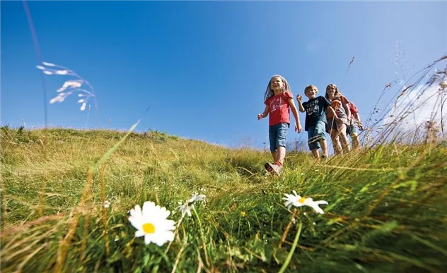 wandern_familie_hartkaiser_margeriten_3