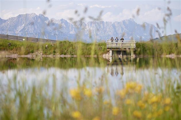 Wandern Kitzbüheler Alpen