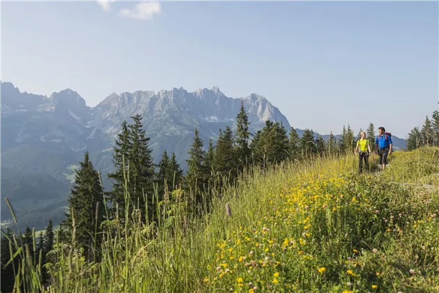 Wandern_Wilder-Kaiser_Foto-Peter-von-Felbert-(67)