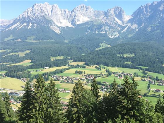 Wanderwege hinterm Haus - Hiking trails
