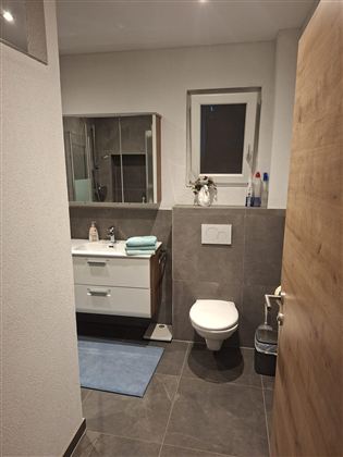 Ein modernes Badezimmer mit einer weißen Toilette und einem Waschbecken. Der Boden ist grau und es gibt einen blauen Teppich.