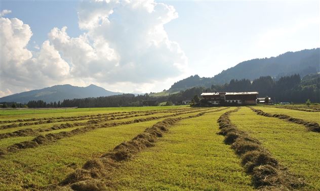 Weberhof_Sommer