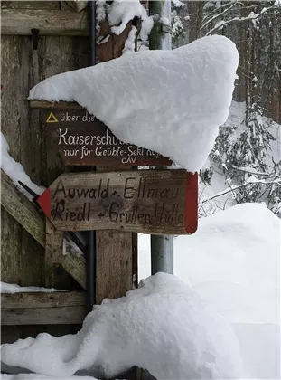 Wegweiser Auwald_Schnee