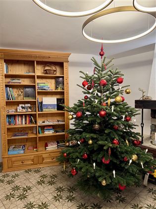 Ein festlich geschmückter Weihnachtsbaum steht in einem gemütlichen Raum. Im Hintergrund sieht man ein Bücherregal.
