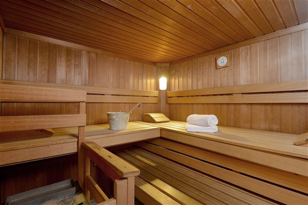 Wellness Sauna