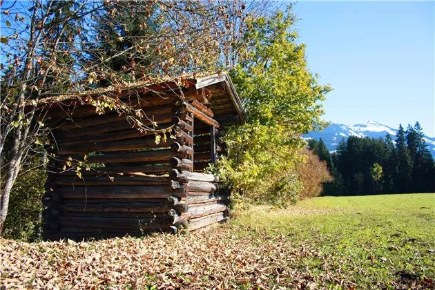 Westendorf im Herbst_Kitzbüheler Alpen01