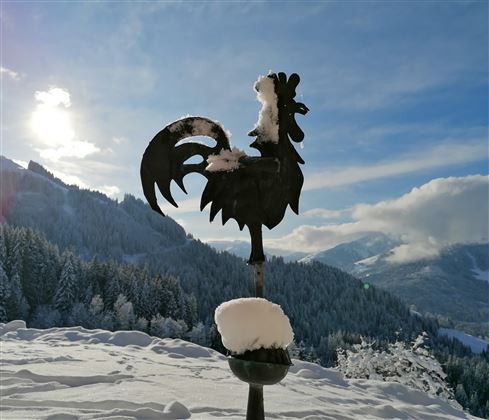 Wetterhahn