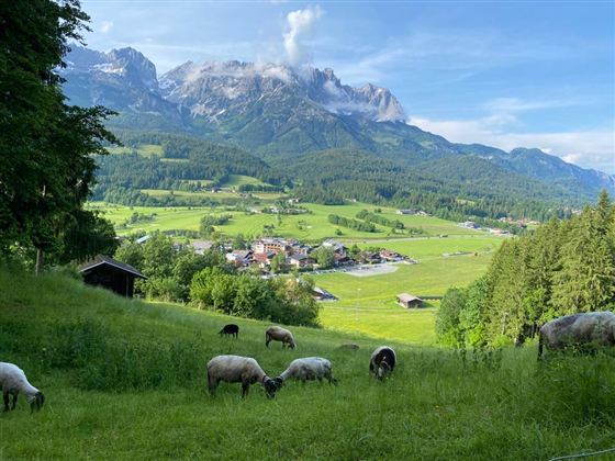 Een schilderachtig landschap met groene weiden en koeien. Op de achtergrond zijn majestueuze bergen en een klein dorp te zien.