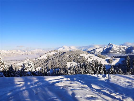 A snowy landscape with tall mountains and dense forests. The clear blue sky makes the scene radiant.