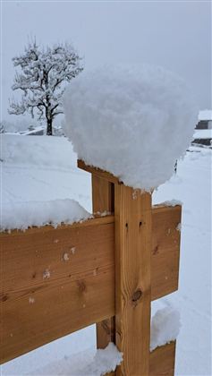 Ein Holzpfosten mit einer großen Schneekugel oben drauf. Im Hintergrund sind schneebedeckte Bäume und ein grauer Himmel zu sehen.