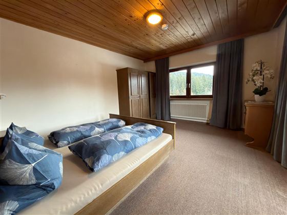 Een gezellige slaapkamer met twee bedden en blauwe dekens. Een raam biedt uitzicht op de natuur, en de kamer heeft houten plafonds en praktische meubels.