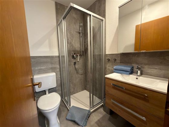 Een moderne badkamer met een douchecabine en houten kasten. Er is een wastafel, een toilet en handdoeken op de plank.