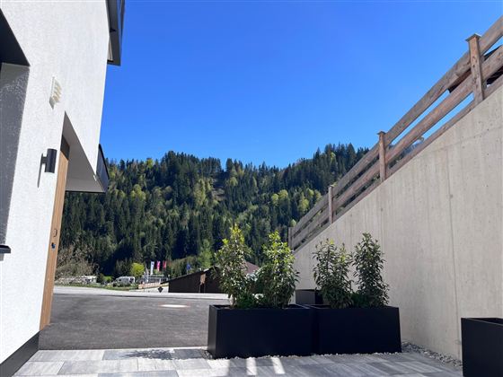 Ein moderner Außenbereich mit Pflanzen und einem klaren blauen Himmel. Im Hintergrund sind grüne Berge zu sehen.