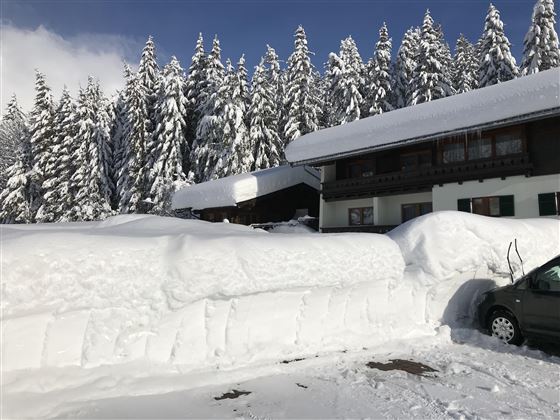 Wilder Kaiser_Ellmau_Pension_Appartements_Steiner_