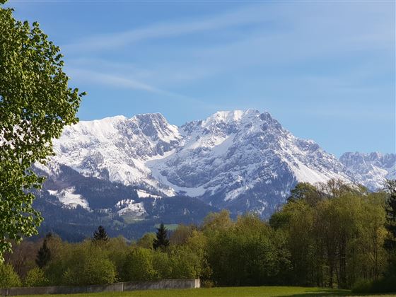 Wilder Kaiser Frühjahr 3