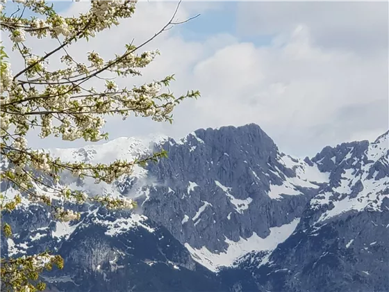 Wilder Kaiser Frühling 2