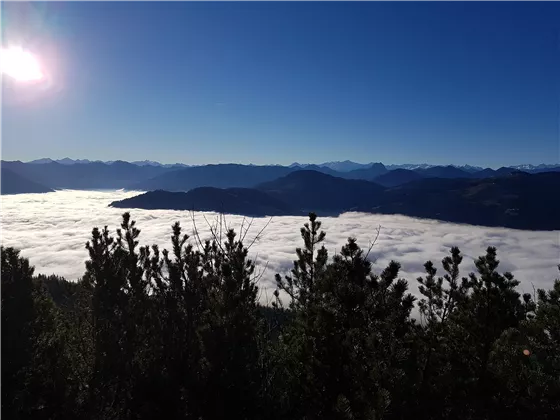 Wilder Kaiser/ Höhenweg über dem Nebelmeer