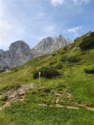 Wilder Kaiser Trail