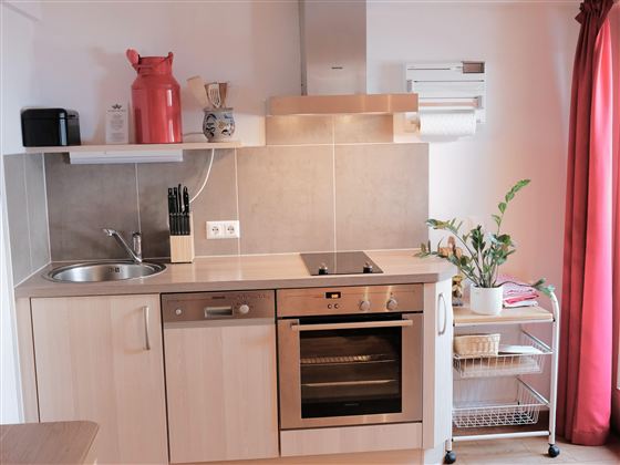 A modern kitchen with wooden cabinets and a smooth countertop. There is a stove, a sink, and some kitchen utensils, as well as a plant in the room.