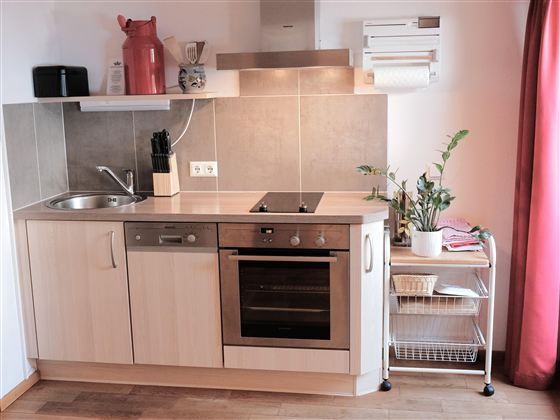 A modern kitchen with wooden cabinets and stainless steel appliances. It features a small table unit and a houseplant in the corner.