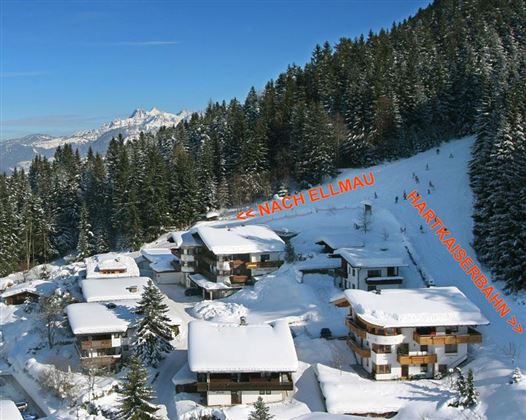 A picturesque winter landscape with snow-covered huts and tall fir trees. In the background, the mountains are visible, and on the side, there is a signpost to Ellmau.