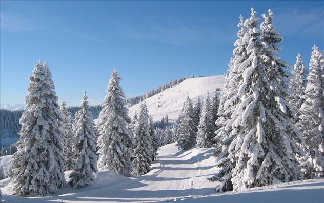 Winter