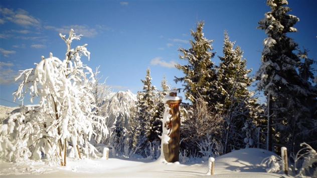 Winter 2