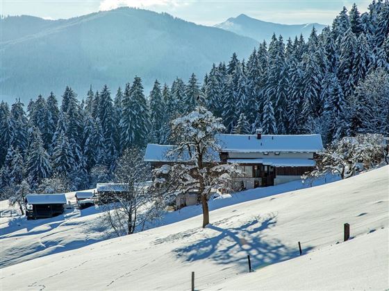 Winter