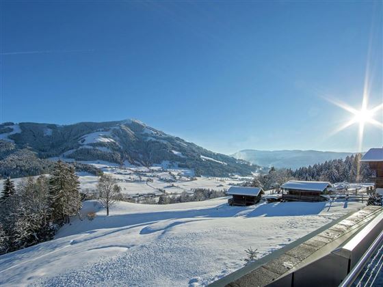 Winter