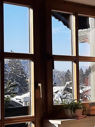 A winter view through a window with snow-covered trees and a clear blue sky. In the foreground, there is a houseplant on the windowsill.