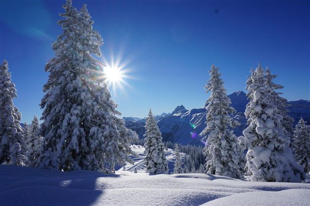 Winter  (4)