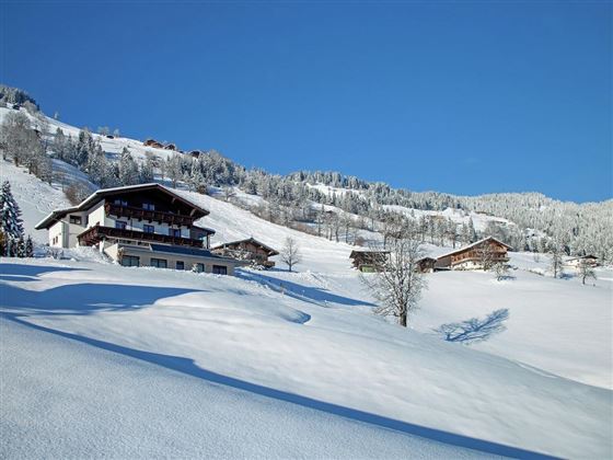 Winter auf dem Salvenberg