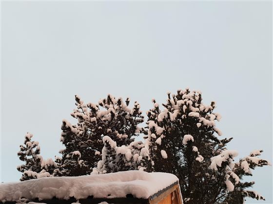 Winter Dezember 2021 3