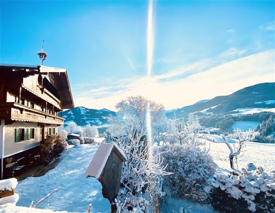 Winter Garten