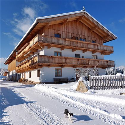 A wooden house in the snow with several balconies. In front of the house, a dog is walking on the snow-covered path.