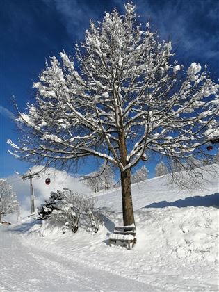 Winter im Brixental
