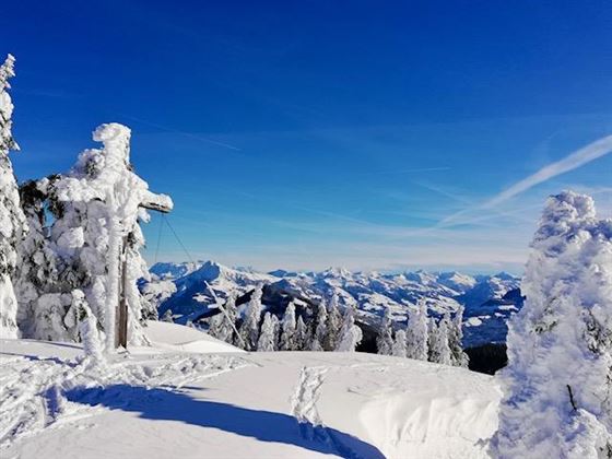 Winter-Impression